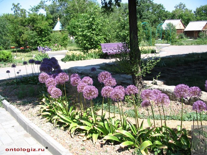 park (13)